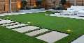 Pro Garden Designers Ltd