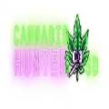 Cannabis Hunter SD