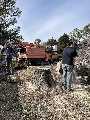 Jonesboro Tree Service
