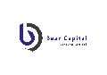 Bear Capital Ventures Limited