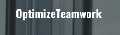 Optimize Teamwork LLC
