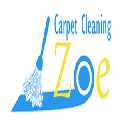 professional cleaning company