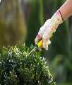 Landscaping Services