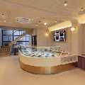 Entisi Chocolate Experience Centre, Koregaon Park, Pune