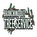 Tree Trimming & Pruning Queens