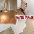 Paradigm Property Restoration