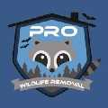 Pro Wildlife Removal