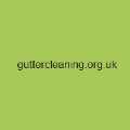 Gutter Cleaning