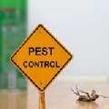 X Pest-Exterminators
