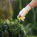 Block paving cleaning