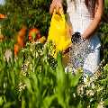 Driveway cleaning services near me