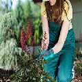 Jet Washing Services