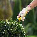 Patio Cleaning Services