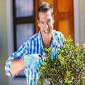 Local driveway cleaners