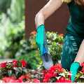 Industrial pressure washing services