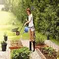 Driveway Cleaning Services