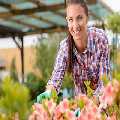Pressure cleaning services