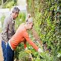 Landscapers Bayswater