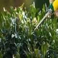 Landscapers Bermondsey