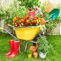 Landscapers Bethnal Green