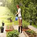 Pressure Washing Hornsey