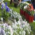 Landscapers Blackheath