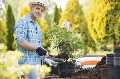 Landscapers Finsbury Park