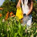 Pressure Washing Mill Hill