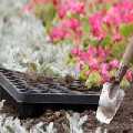 Pressure Washing Mayfair