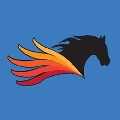 Pegasus Technologies