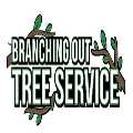Bethpage Tree Service