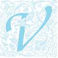 Vedas Medical Spa & Wellness Center