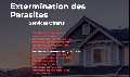 Extermination 911 Pointe-Claire - Exterminateur West Island