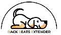 Backseat Extender For Dogs