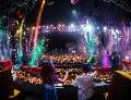 Top DJ in Jaipur