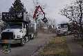 Big Bear Lake Tree Service