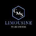 CMS LIMO INC