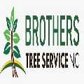 Brothers Tree Service NC , LLC