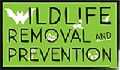 Wildlife Removal & Prevention