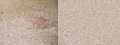 Elliot's Carpet Cleaning - Chelmsford