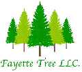 Fayette Tree
