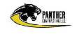 Panther Contracting LLC Industrial Roof Repair
