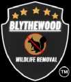 Blythewood Wildlife Removal