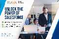 Top Salesforce Partner in USA – RAVA Global Solutions