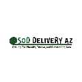 Sod Delivery Serving Phoenix, Tucson