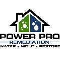 Power Pro Remediation