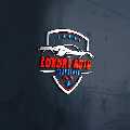 Luxury Auto Transport