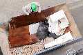 West Windsor Junk Removal Solutions
