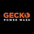 Gecko Power Wash