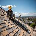 Alta Supply,LLC
